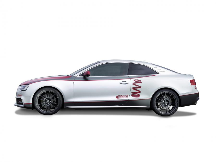  Audi S5 Coupe by Eibach 2012 года  (фото 4 из 5)